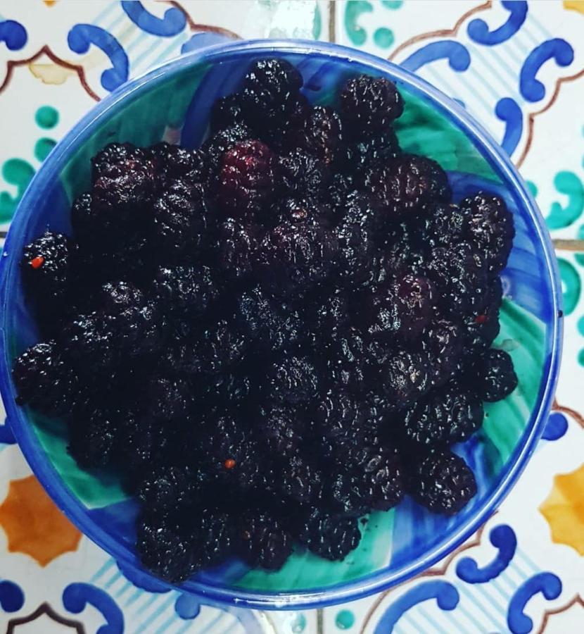 Il Cortile Del Marchese Beccadelli Bed & Breakfast Sambuca di Sicilia Bagian luar foto